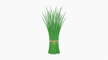 Obraz premium Bunch of fresh green chives tied with twine on a white background
