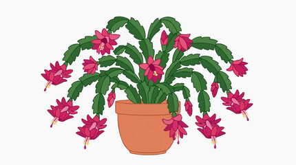 Naklejka premium Potted Christmas Cactus with Pink Flowers and Green Leaves
