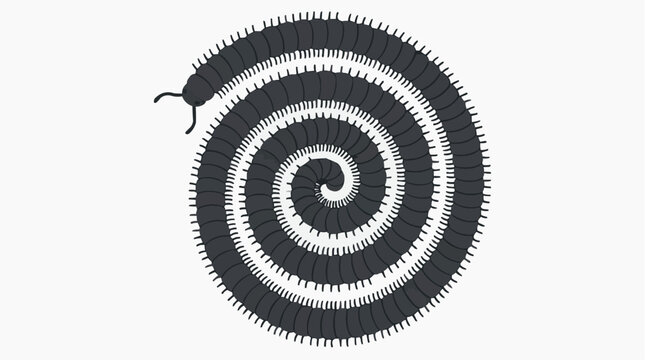 Dark Millipede Spiral Illustration on White Background
