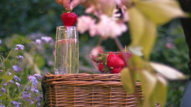 througWoman with strawberries and sparkling wine with vintage picnic basket view of summer flowers