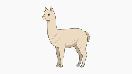 Fototapeta premium Cute cartoon alpaca standing on a white background