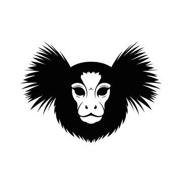 Marmoset monkey head with distinctive large tufted ears