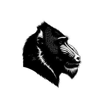 Detailed mandrill head portrait in black and white woodcut style