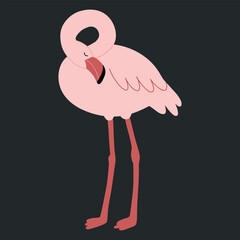 Cute Cartoon Preening Feathers Flamingo Vector Illustration. Flat hand drawn vector illustration. Exotic bird wildlife illustration © VasilisaStArt