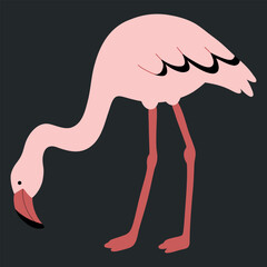 Cute Cartoon Bending Down Feeding Flamingo Vector Illustration. Flat hand drawn vector illustration. Exotic bird wildlife illustration © VasilisaStArt