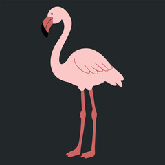 Cute Cartoon Standing Flamingo Vector Illustration. Flat hand drawn vector illustration. Exotic bird wildlife illustration © VasilisaStArt