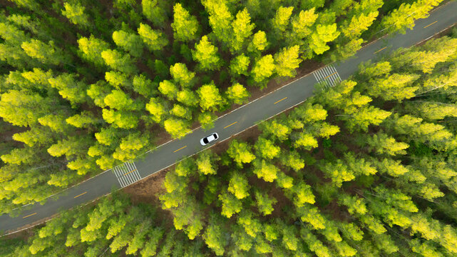 Aerial view of dark green forest road and white electric car Natural landscape and elevated roads Adventure travel and transportation and environmental protection concept	