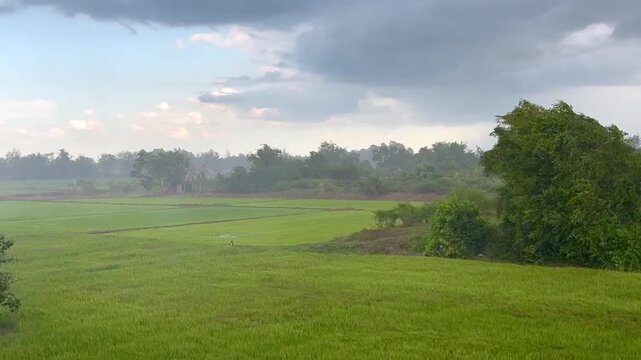 Wide shot , raining around the green field in raining season , video.