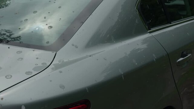 Extensive bird droppings and dried stains indicate cleaning and inspection are necessary for vehicle