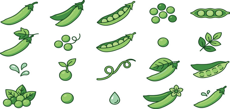 Green peas vector illustration set with pods seeds leaves and tendrils for food design
