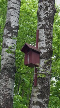 Old birdhouse repair. Detailed view of aged nesting box affixed to tree trunk amidst leaves and textured bark