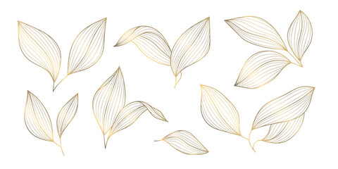 olive, leaf, oil, background, label, leaves, branch, icon, tree, illustration, design, vector, emblem, vintage, beauty, line, fruit, pattern, floral, plant, outline, botanical, product, food, art, gol © marylia17