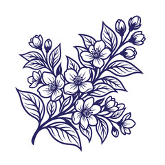 Fototapeta premium Vintage hand drawn botanical sketch of a jasmine branch with blooming flowers and buds line art white background old fashioned illustration botanical engraved