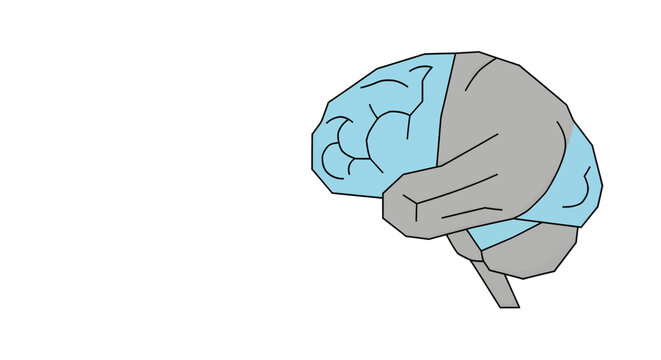 A simplified illustration of the human brain, showing different lobes or regions highlighted in blue and grey on a white background.