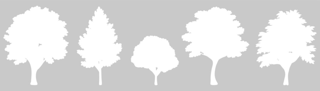 Deciduous and conifer tree silhouettes collection with white forest plants for architectural visualization, park landscaping design, and nature backdrop vector set