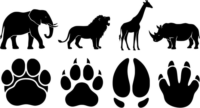 Set of wild animal silhouettes including elephant lion giraffe and rhinoceros with matching footprint tracks