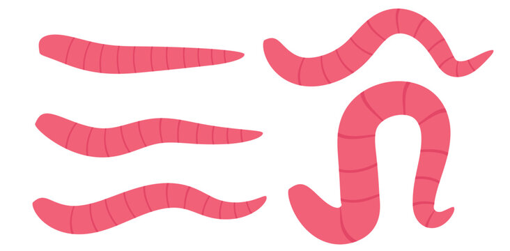 Collection of pink cartoon earthworms in various wavy poses with fishing bait white background line art animal life earthworm illustration invertebrate creature segmented straight wildlife