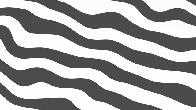 Abstract wavy stripe animation background with flowing curved line pattern. Seamless optical motion texture, modern dynamic wave loop backdrop
