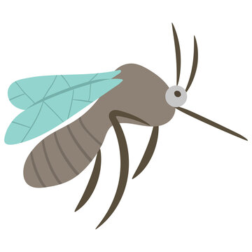 Cute cartoon mosquito illustration with long needle
