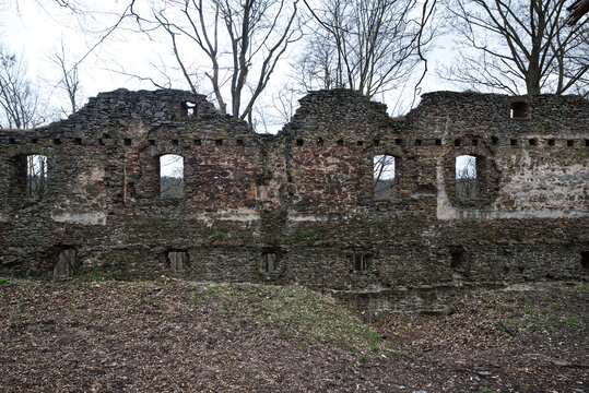 Ruion of Vikstejn castle near Vitkov town in Czech republic