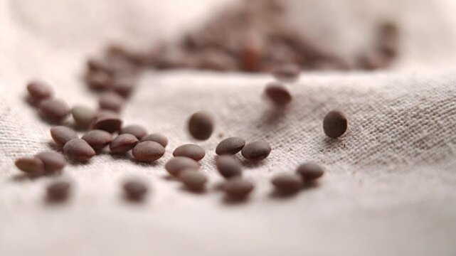 Macro shot of raw brown lentil seeds falling onto a rustic linen fabric. Concept of plant-based vegan protein. Slow motion