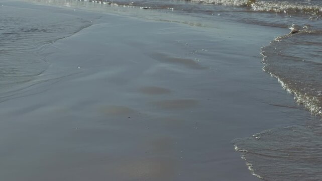 Calm beach with soft foam and reflective sands. Tranquil shoreline featuring ebbing tide and smooth wet sands