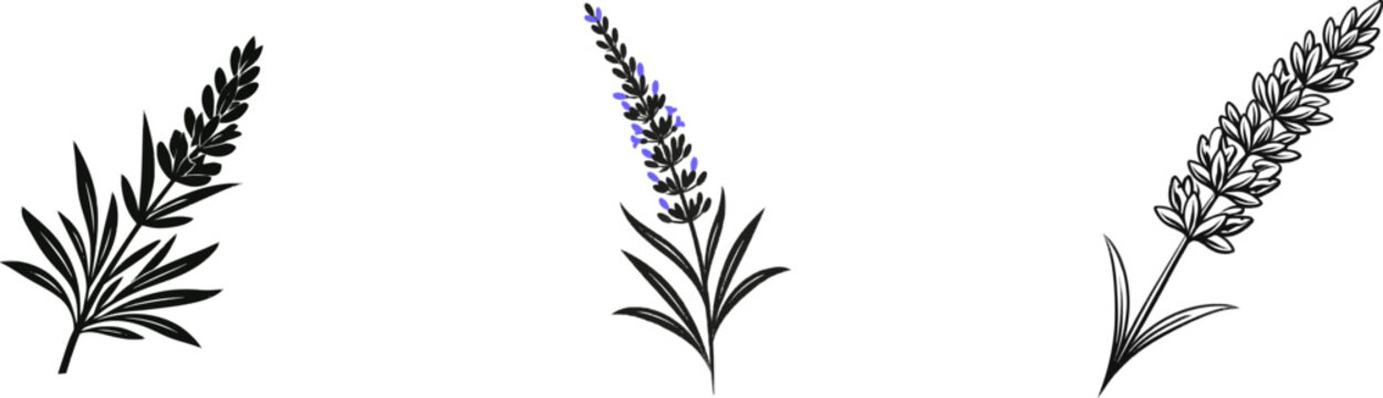 A minimalist lavender single sprig silhouette in solid black on a clean white background showcases clean sharp edges and high-contrast vector design elements for automatic tracing