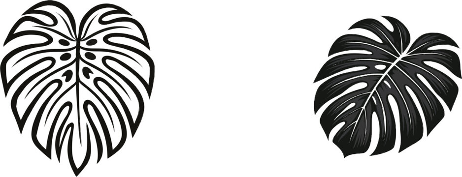 A bold graphic silhouette of a Monstera leaf in solid black ink against a pure white background, vectorized for high contrast and clean sharp contours
