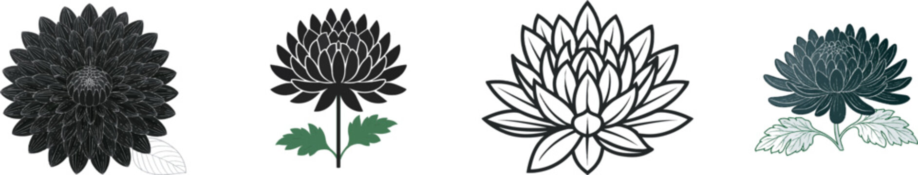 A bold black silhouette of a chrysanthemum flower head stands out against a pristine white background in this vector illustration