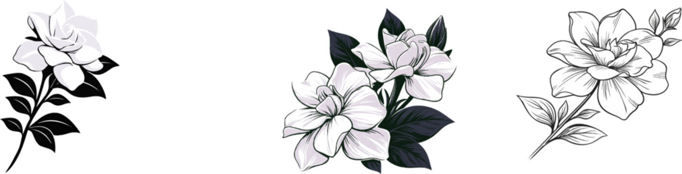 A minimalist black and white illustration of a gardenia flower with lush petals and clean lines against a stark white background