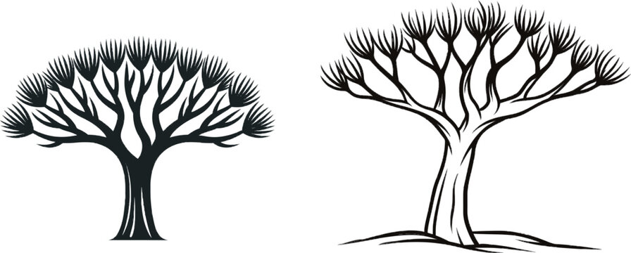 A minimalist black ink tree icon with a dragon blood trees unique umbrella shape, set against a crisp white background, embodies elegance and simplicity in vector graphic design