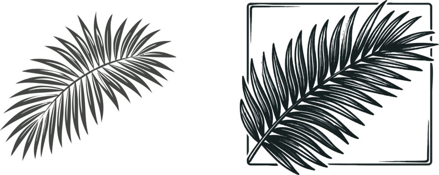 A minimalist modern botanical line art frame element featuring a single-line palm leaf scroll with solid black color fill on a clean white background