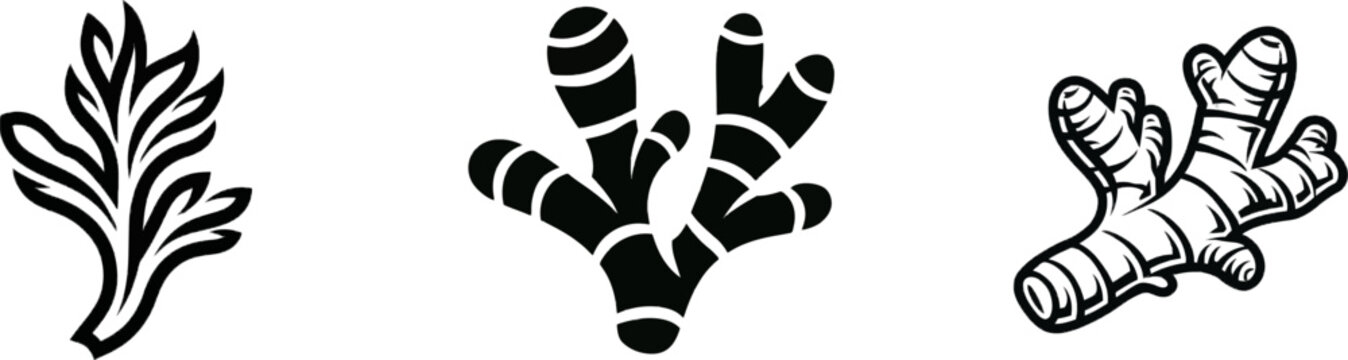 A minimalist botanical silhouette of a ginger root rhizome in solid black against a white background, featuring clean sharp edges and high-contrast vector design elements