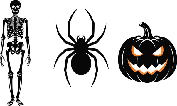 Black silhouette of a human skeleton a spider and a jack o lantern on a white background