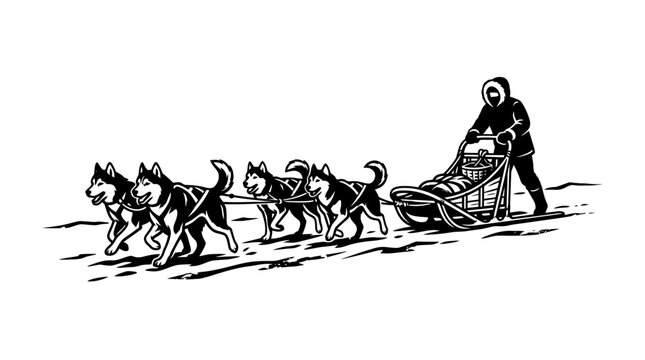 Musher and Husky sled team racing across snowy terrain.