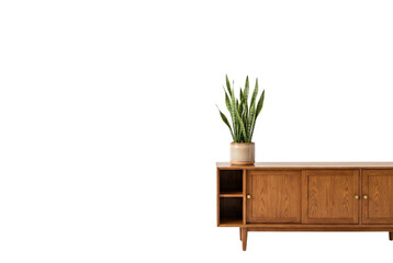 Modern wooden sideboard console with snake plant © PEE PHIBAN
