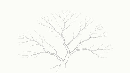 Fototapeta premium Minimalist Monochrome Pencil Sketch of a Leafless Bare Tree with Symmetrical Rounded Canopy and Delicate Fine Branching on Soft Off-White Background