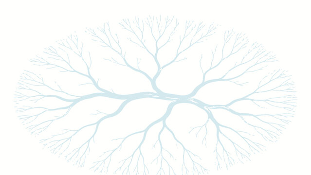 Minimalist Line Art Symmetrical Radial Branching Structure, Soft Pale Blue Main Stems, Dendritic Fractal Fan Layout On Clean White Background
