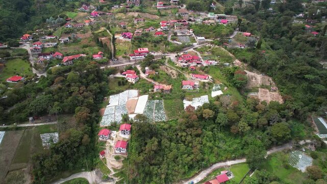 Aerial view of strawberry plantations covered with agricultural plastic near red-roof countryside houses in Colonia Tovar, Venezuela, surrounded by lush mountain farmland