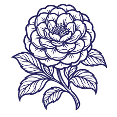 Fototapeta premium Detailed line art illustration of a single ornate camellia flower with a large bloom and stylized leaves hand-drawn vector botanical element white background blue line