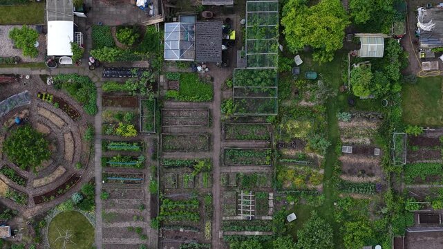 Lush green community gardens seen from an aerial top down perspective, showcasing various plots with growing vegetables, greenhouses, and circular garden designs for urban farming