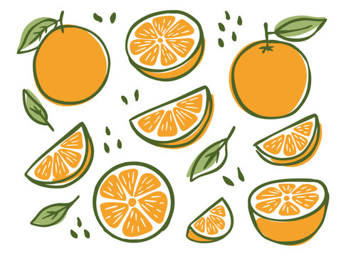Hand drawn orange fruit doodle illustration with sliced citrus and leaves in retro flat style, perfect for sticker, packaging, fabric, wallpaper, and food branding design