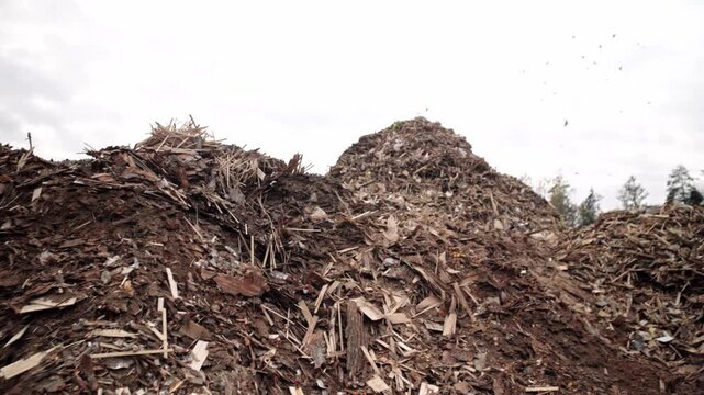 Landfill. Wood processing. Recycling. Ecology. Large mountains of bulk wood biomass. Wood recycling and processing.