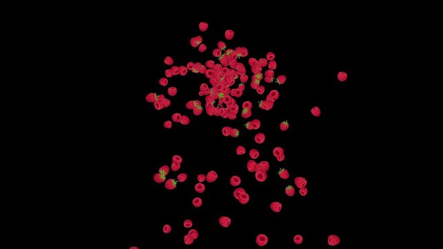 overlay of different raspberry bursts