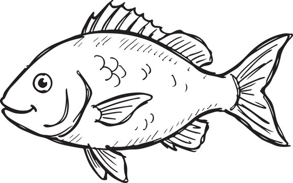 Hand Drawn Red Snapper Fish Vector Sketch Illustration Isolated
