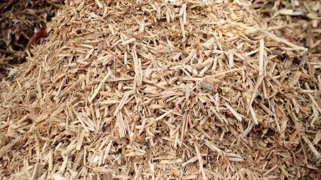 Landfill. Wood processing. Recycling. Ecology. Large mountains of bulk wood biomass. Wood recycling and processing.