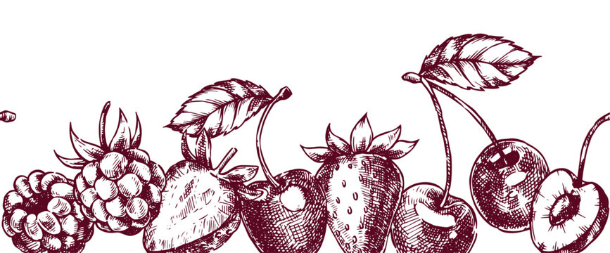 Seamless border with strawberries, raspberries, and cherries. Vector illustration in a vintage sketch style