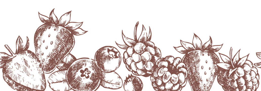 Seamless border with strawberries, raspberries, and blueberries. Vector illustration in a vintage sketch style.
