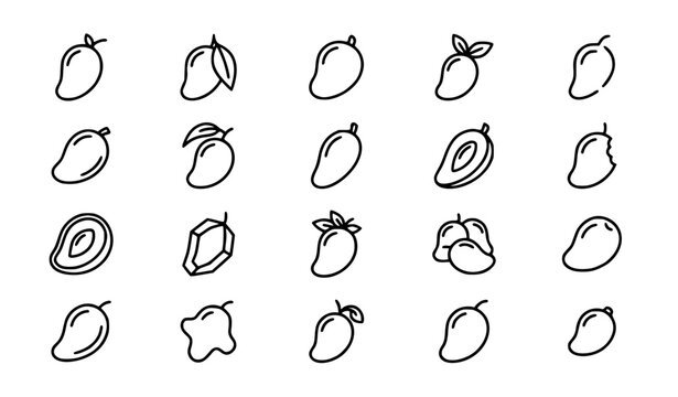 Minimalist black line art vector illustration set of mangoes, various elegant designs including whole mangoes with stem and leaves, sliced mango, half cut mango showing flesh, mango with bite mark, cl