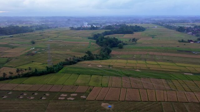 Aerial view of vast agricultural rice fields and subak landscapes under an overcast sky
